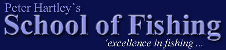 Placeholder Picture